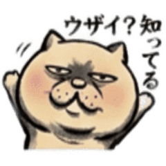 【でっぷりねこ】太々しい！日常シュール猫
