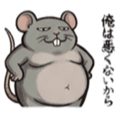 【でっぷりねずみ】太々しい！日常シュール
