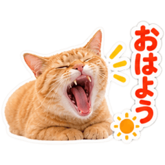 【全40種類】茶トラねこの毎日スタンプにゃ