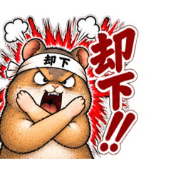 激しいハムスター！全力リアクション