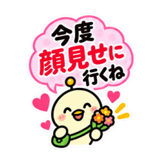 親への見守りアンテナひよこ 大きい文字