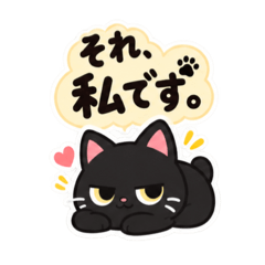 それ、私です。くろねこの日常会話 40種類