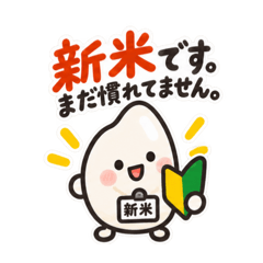新米です。まだ慣れてません。｜お米の日常