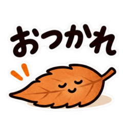 落ち葉です。だいたい散ってます。 40種類
