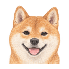40匹の笑顔犬｜パステル色鉛筆風
